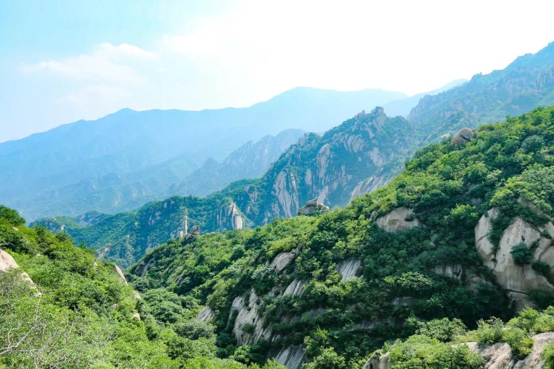 微信图片_20210628151031.jpg